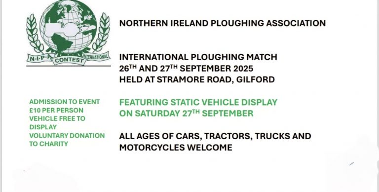 Static Vehicle Display